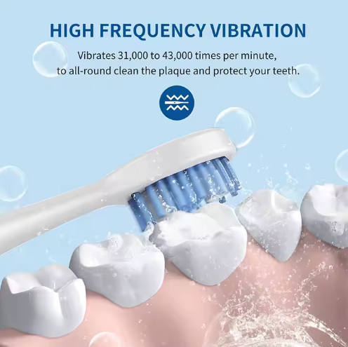 Custom Premium Rechargeable Electric Toothbrush Supplier Travel Cheap Bulk Fashion Teeth Whitening Electric Toothbrush